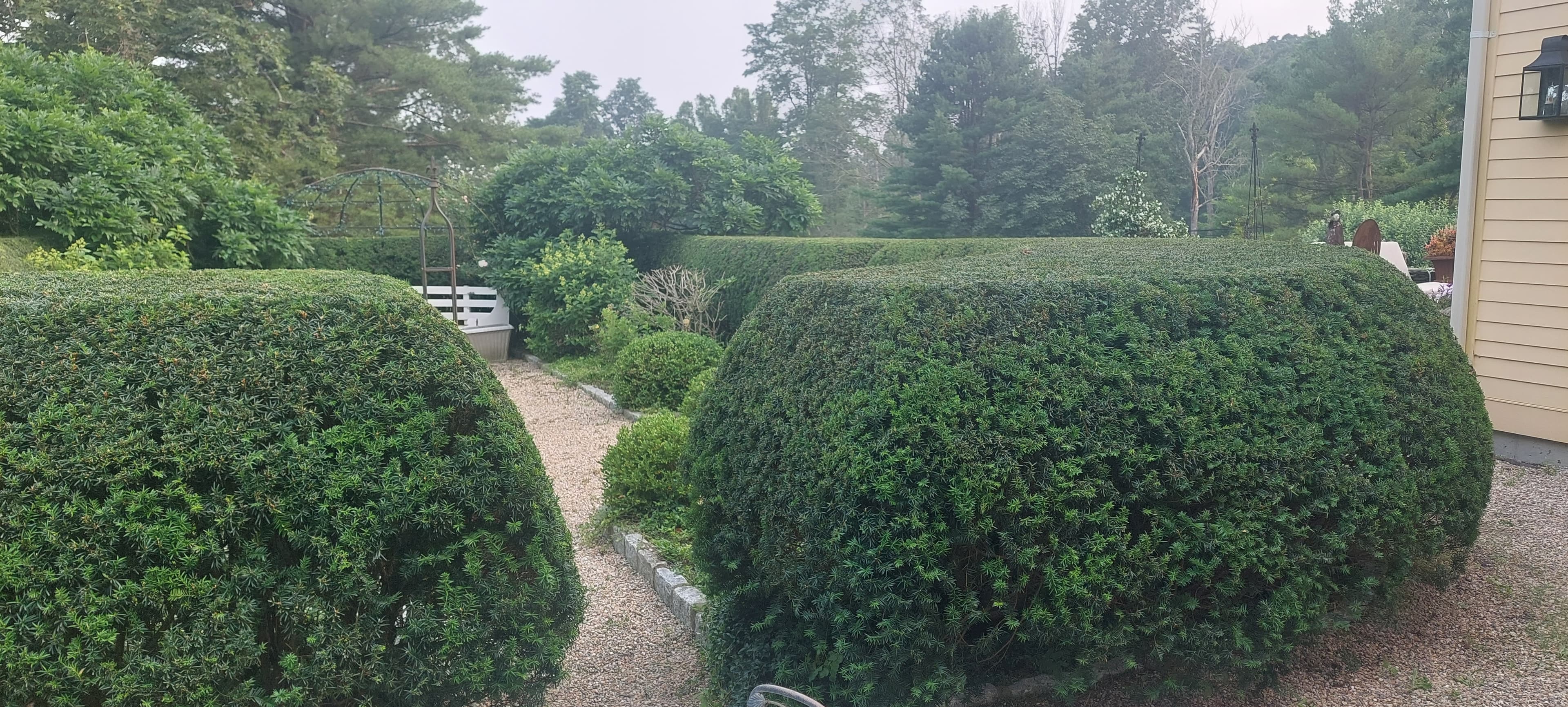 Property grounds and landscaping.