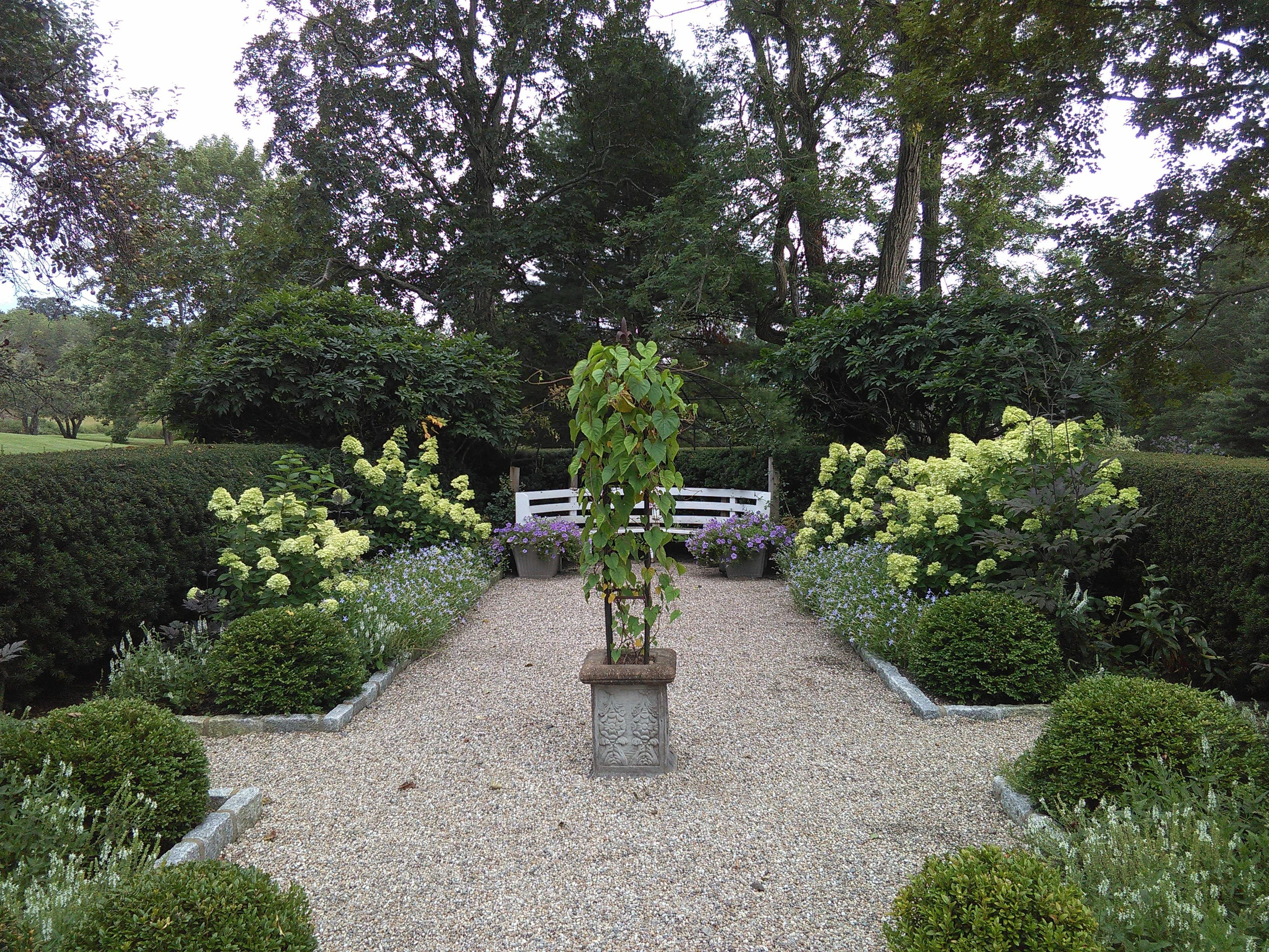 Bush trimming and shrub care.