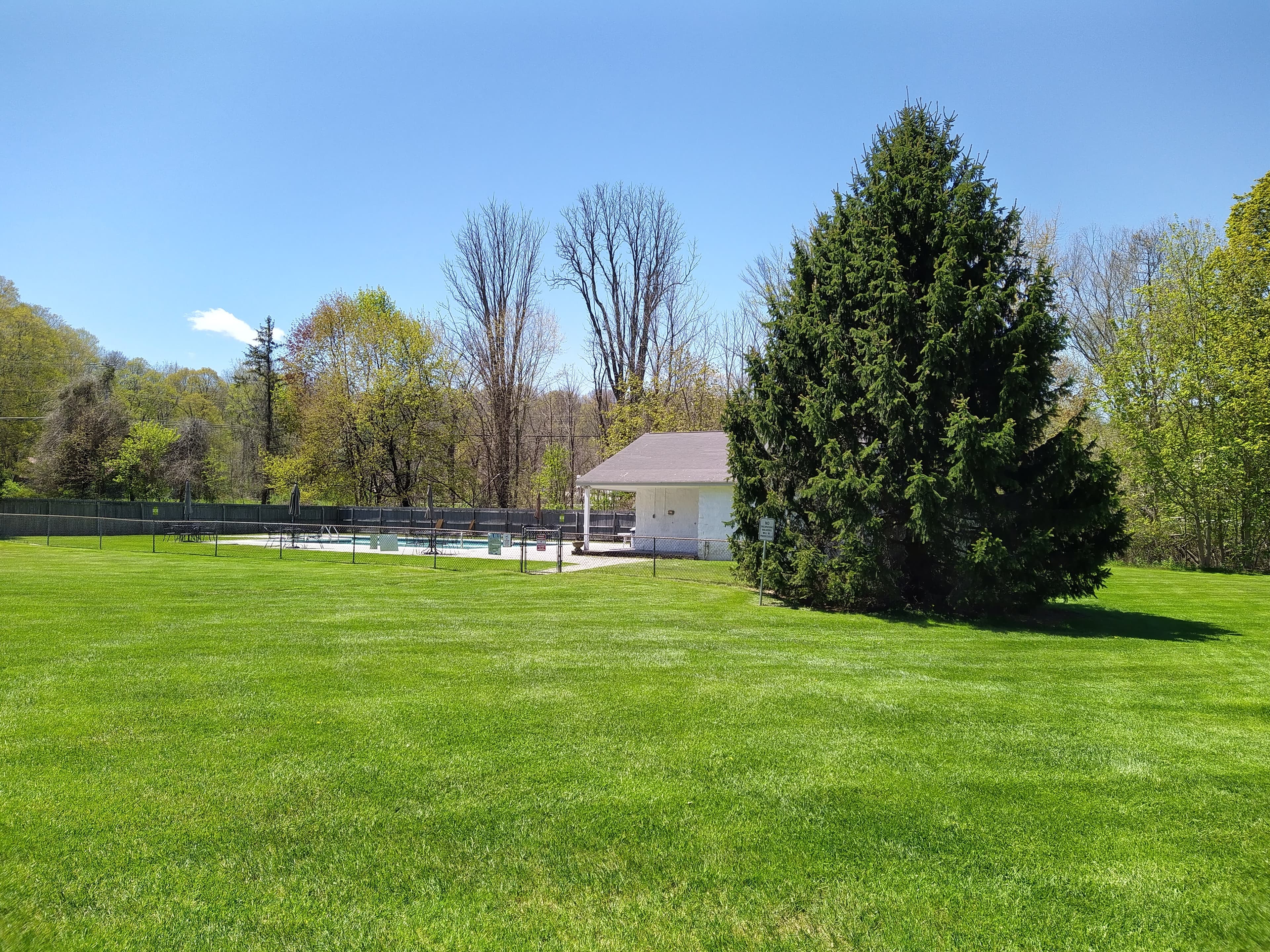 Poolside grounds and evergreen care.
