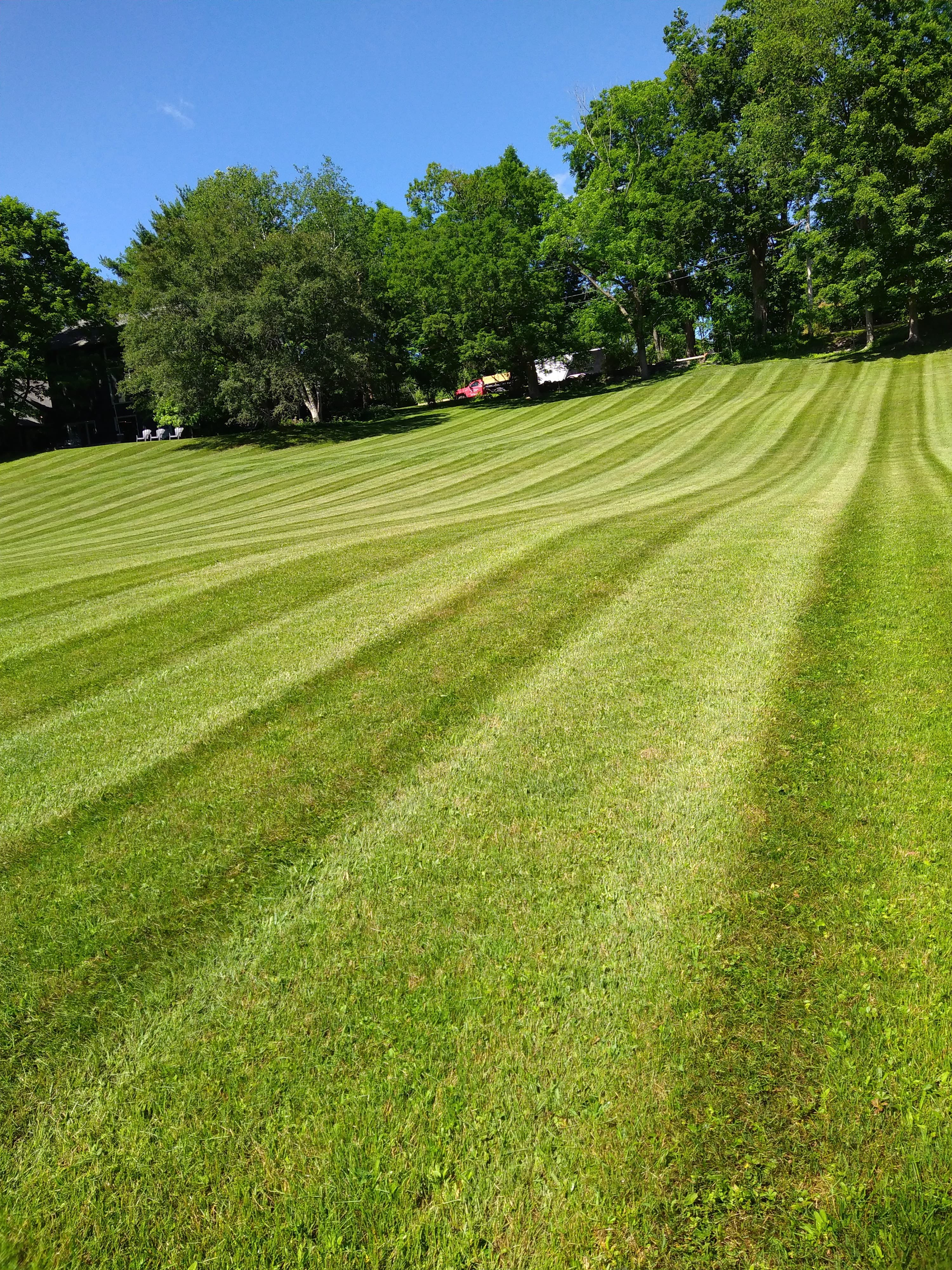 Weekly lawn striping and grounds maintenance