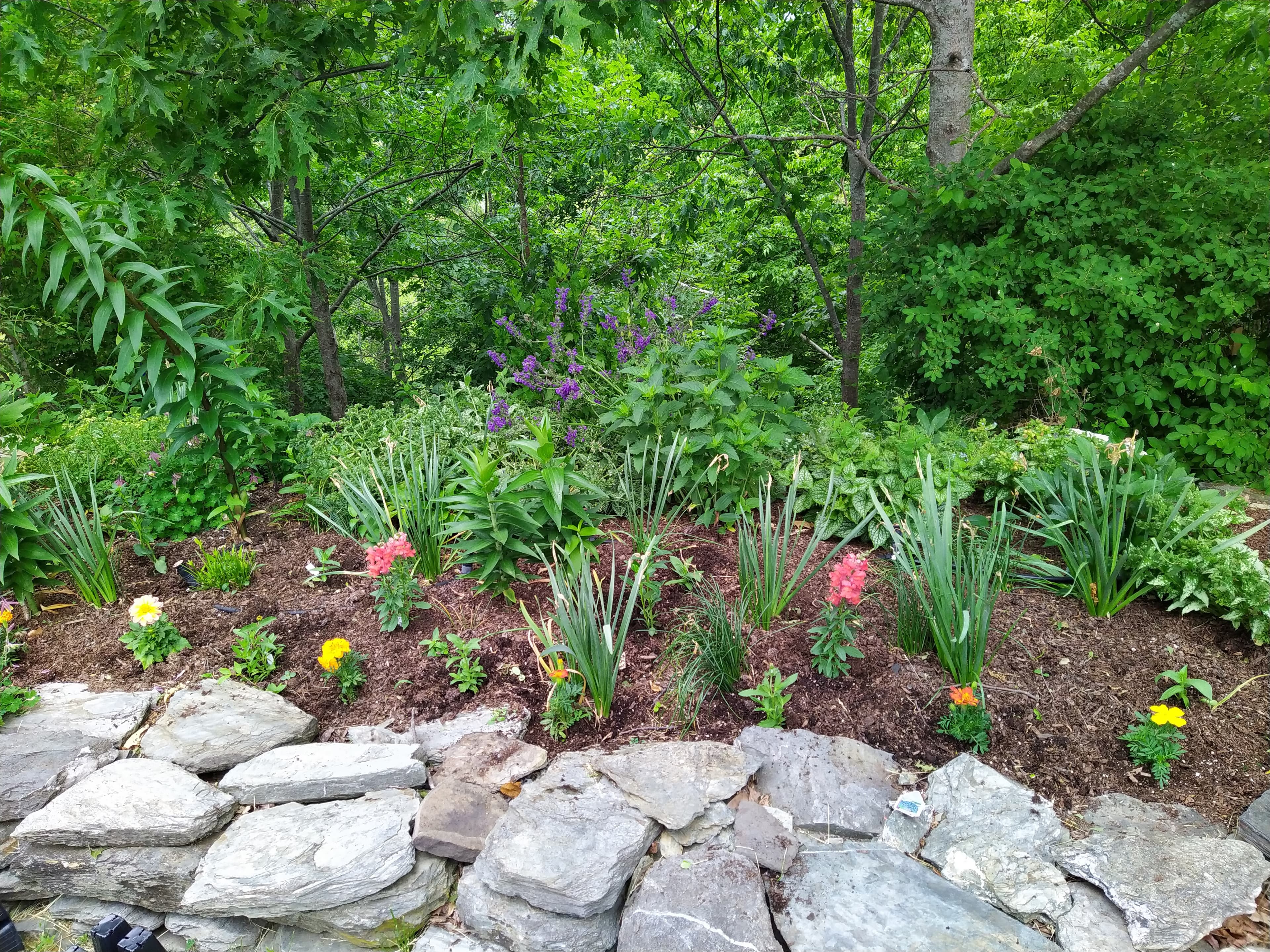 Garden and landscape detail.